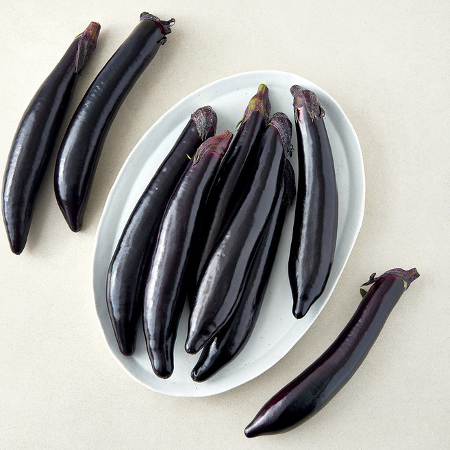 가지 1kg(6~10입), 1개입, 1개