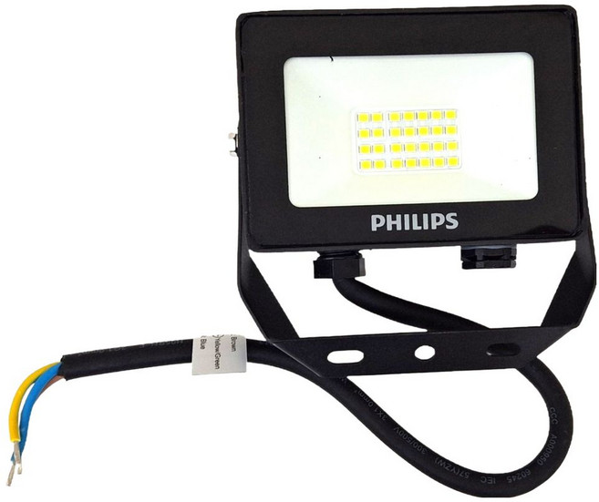 PHILIPS 飛利浦 LED 戶外投光燈 10W 白光 露營燈, 1個