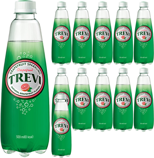 트레비 자몽 탄산음료, 500ml, 12개