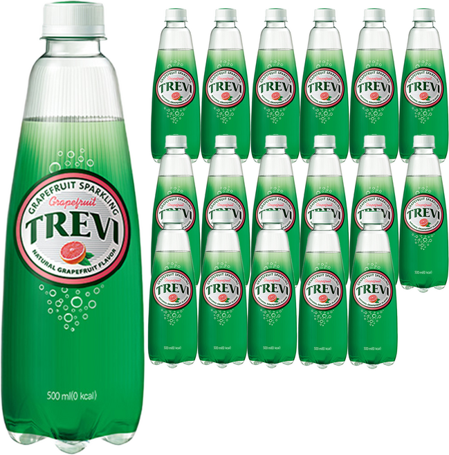 트레비 자몽 탄산음료, 500ml, 18개