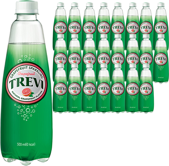 트레비 자몽 탄산음료, 500ml, 24개