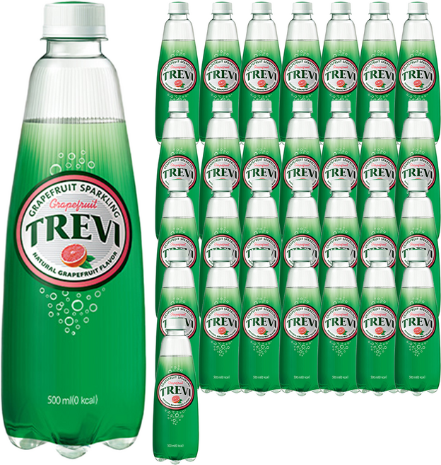 트레비 자몽 탄산음료, 500ml, 30개