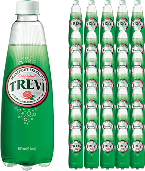 트레비 자몽 탄산음료, 500ml, 36개
