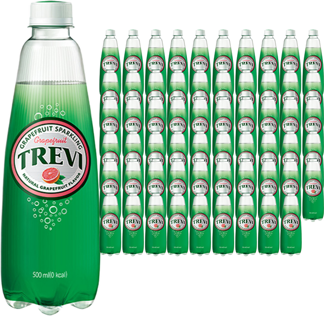 트레비 자몽 탄산음료, 500ml, 60개