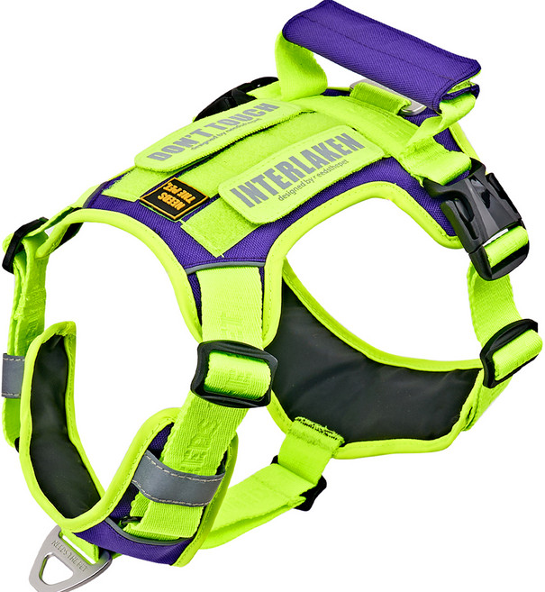 니즈더펫 인터라켄 슬림2.0 경량 투톤 앞고리 강아지하네스, 네온 + 퍼플, 1개