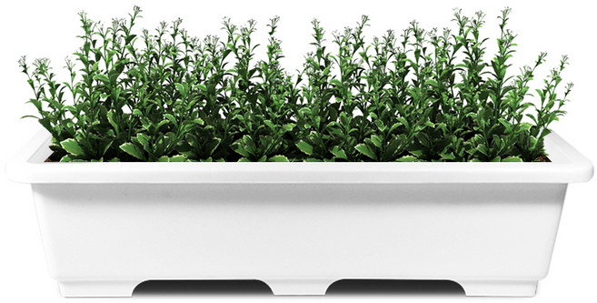 화분월드 직사각 텃밭상자 베이직 3호 화분, 순수 화이트, 1개