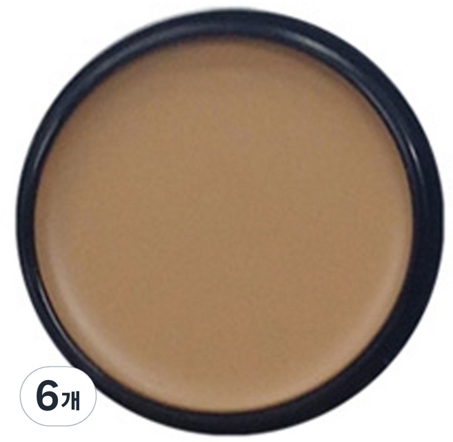 애리조 카마플레이지 크림 13g, No2 크림베이지, 6개