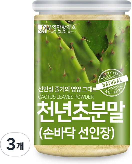 부영한방약초 제주도 손바닥 선인장 천년초 분말, 3개, 200g
