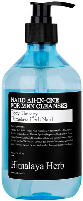 나드 올인원 남성청결제, 500ml, 1개
