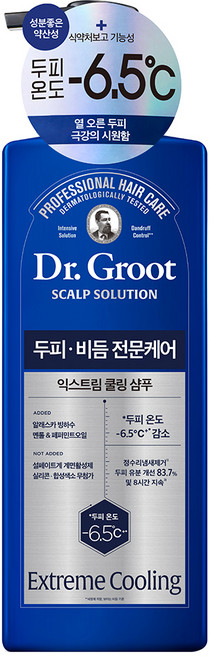 닥터그루트 스칼프솔루션 익스트림 쿨링 샴푸, 700ml, 1개