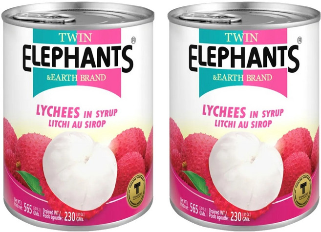 TWIN ELEPHANTS 雙象地球牌 糖水荔枝罐, 565g, 2罐