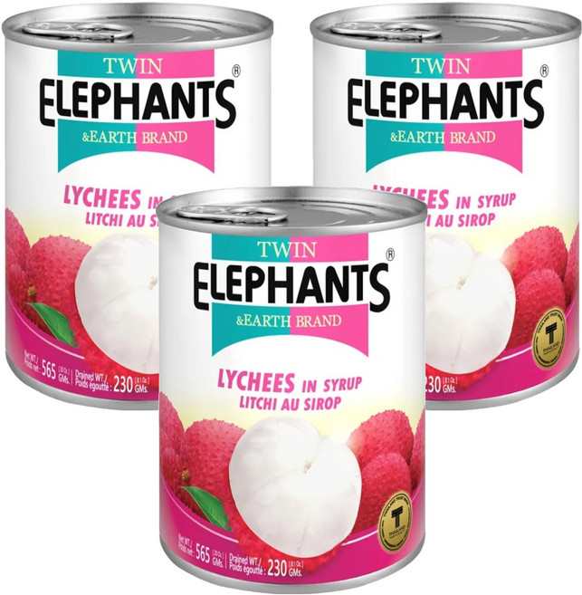 TWIN ELEPHANTS 雙象地球牌 糖水荔枝罐, 565g, 3罐