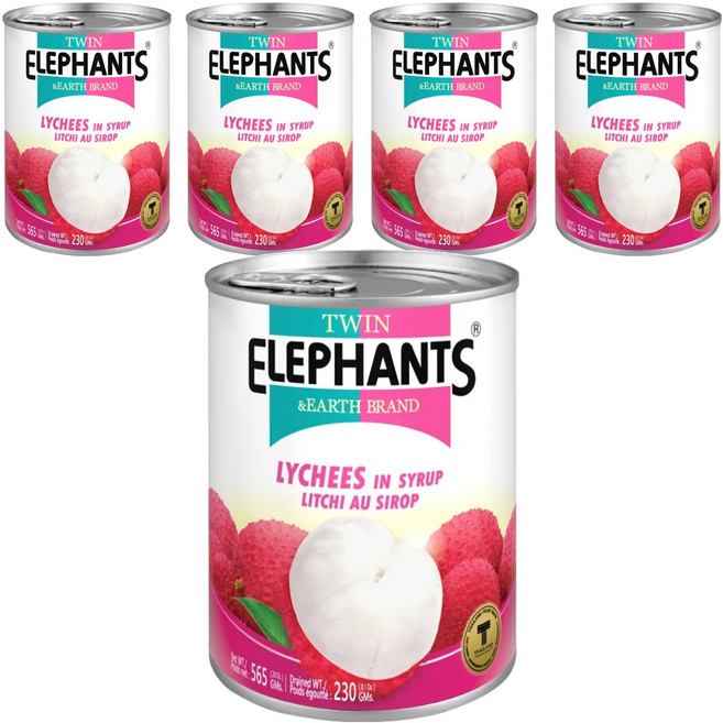 TWIN ELEPHANTS 雙象地球牌 糖水荔枝罐, 565g, 5罐