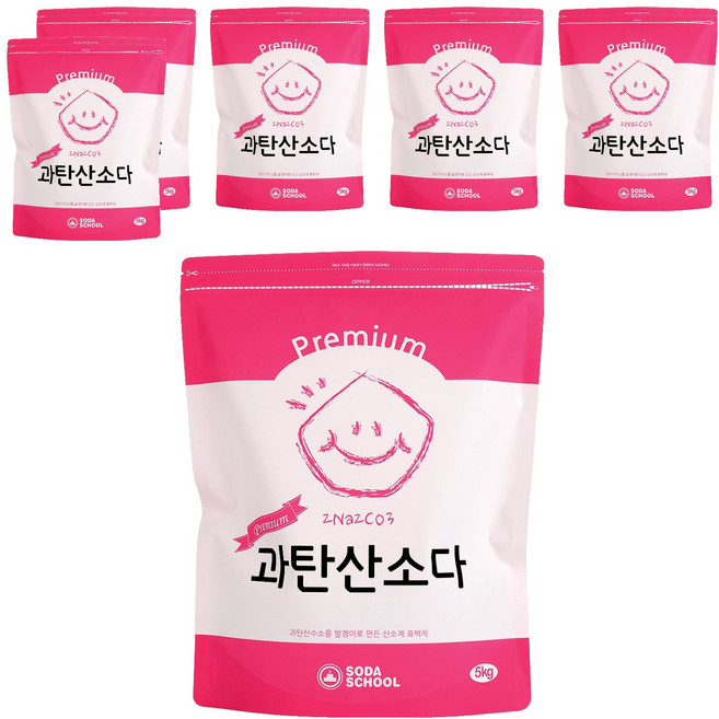 소다스쿨 프리미엄 과탄산소다, 5kg, 6개