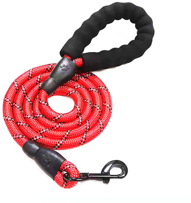 빈앤코 중대형견 스트롱 리드줄, 레드, 1개