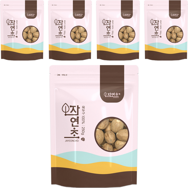 육두구 통 넛맥 너트맥, 5개, 250g