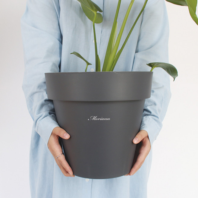 모리앤 베이직 원형 저면관수 화분, 다크그레이, 1개
