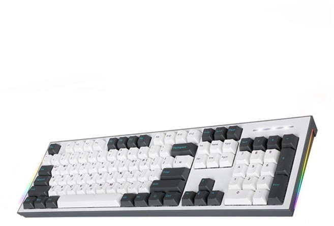 COX 이색사출 사이드 RGB 기계식 유선 일반형 키보드, 그레이 + 화이트, CK01PBT, 청축