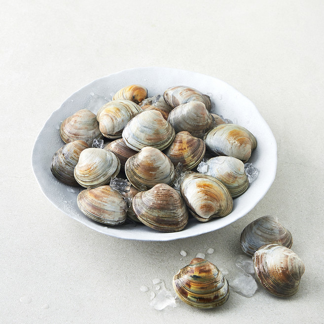 생물 백합조개 (냉장), 1개, 1.5kg