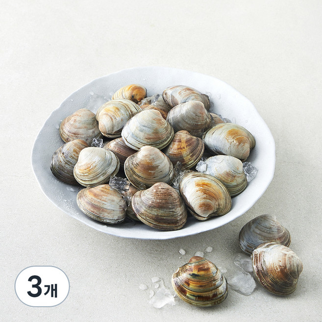 생물 백합조개 (냉장), 3개, 1.5kg