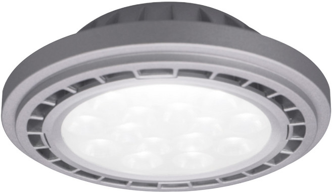 DANCELIGHT 舞光 14W AR111窄角投射光源模組 自然光 質感銀, D-ARSP14NR5, 1組