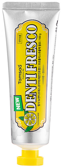 탐사 뉴 덴티프레스코 레몬민트향 구취케어 치약, 100g, 1개