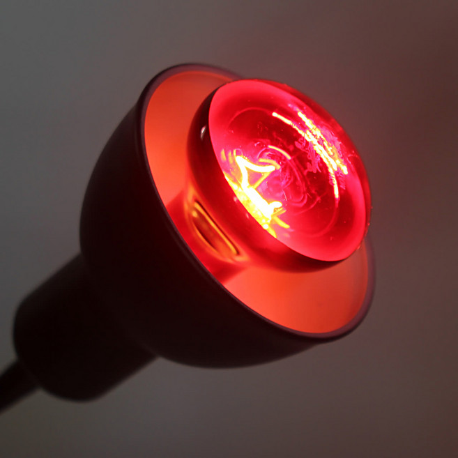 스파크주 적외선 램프 100W, 혼합색상, 1개