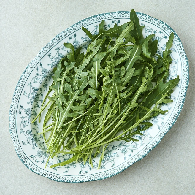 국내산 와일드 루꼴라, 100g, 1개 - 쿠팡