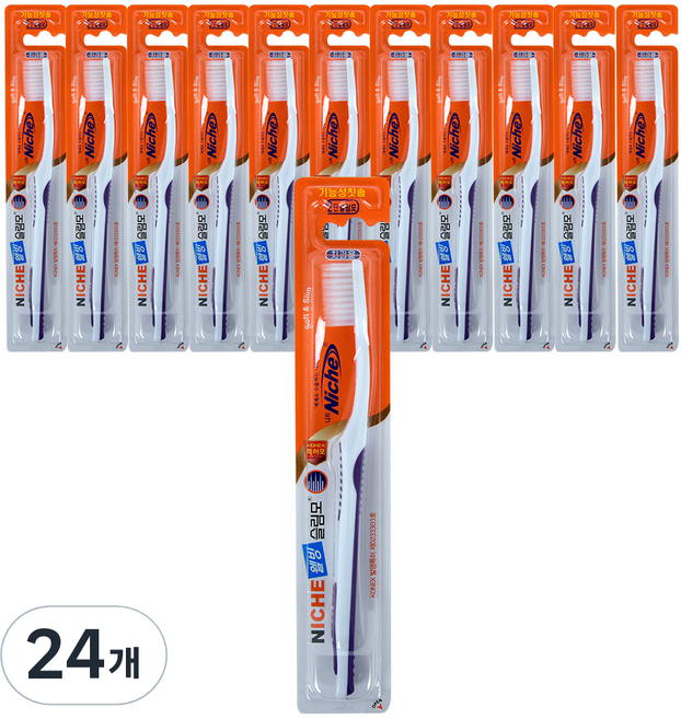 니치 웰빙 칫솔, 1개입, 24개