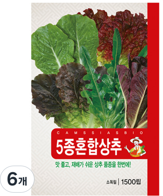 5종혼합상추 씨앗, 6개