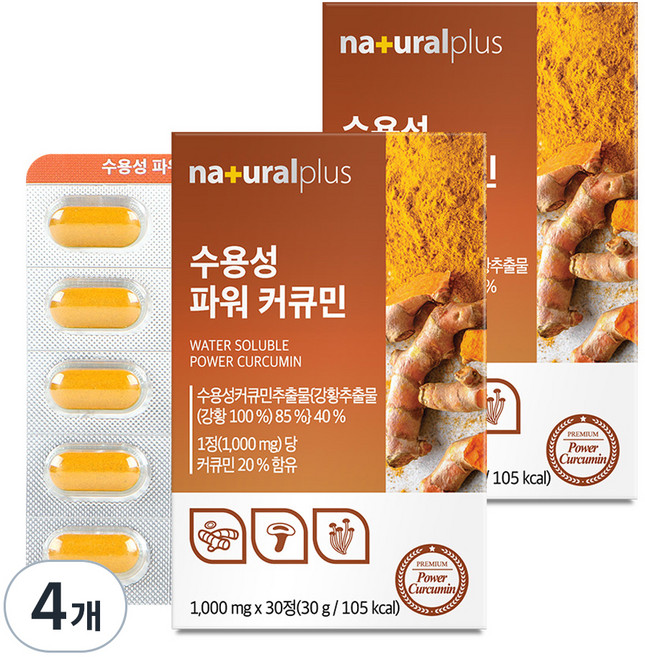 내츄럴플러스 수용성 파워 커큐민, 1kg, 4개