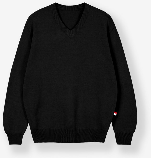 제이에이치스타일 남성용 캐시미어 브이넥 니트 MDROK611