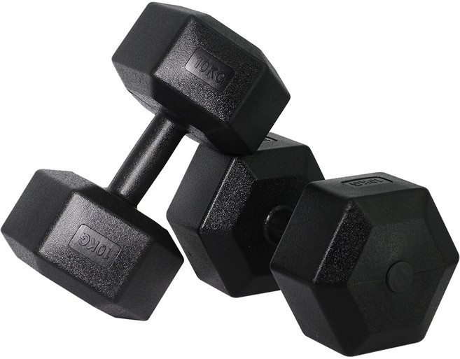 벨리카 홈짐 베이직 육각 덤벨 블랙 DB-01, 10kg, 2개