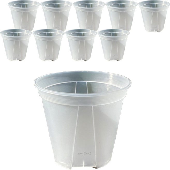 앙플랜트 숨쉬는 슬릿화분 10p, 투명, 10개
