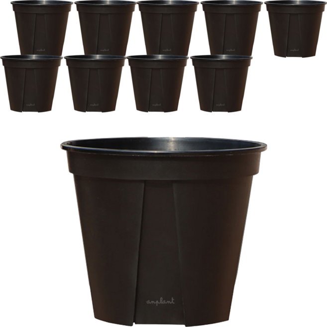 앙플랜트 숨쉬는 슬릿화분, 블랙, 10개