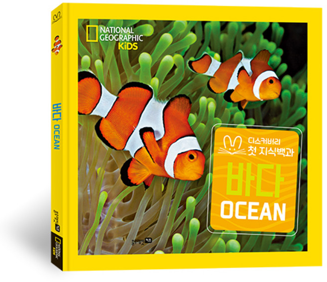 내셔널 지오그래픽 키즈 빅북 첫지식백과, 바다, 블루래빗키즈