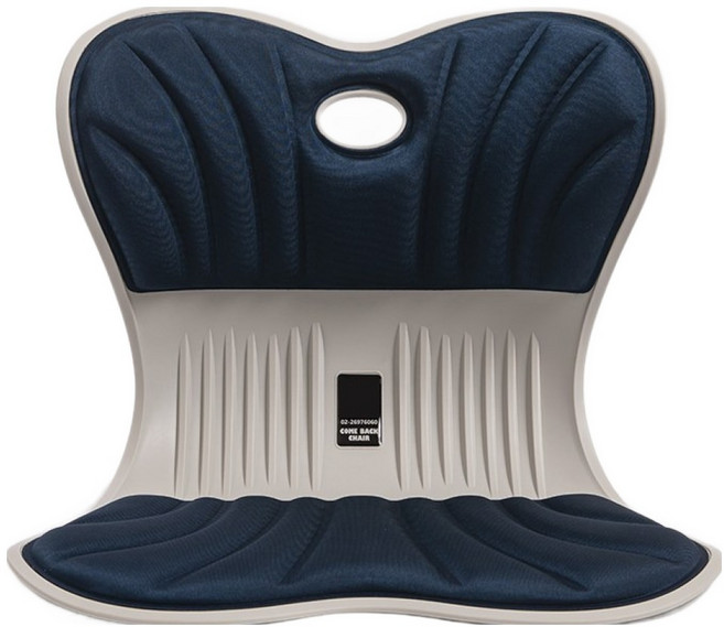 神膚奇肌 COME BACK 靠背椅 利用體重支撐腰椎 端正坐姿 久坐舒適, 藍色