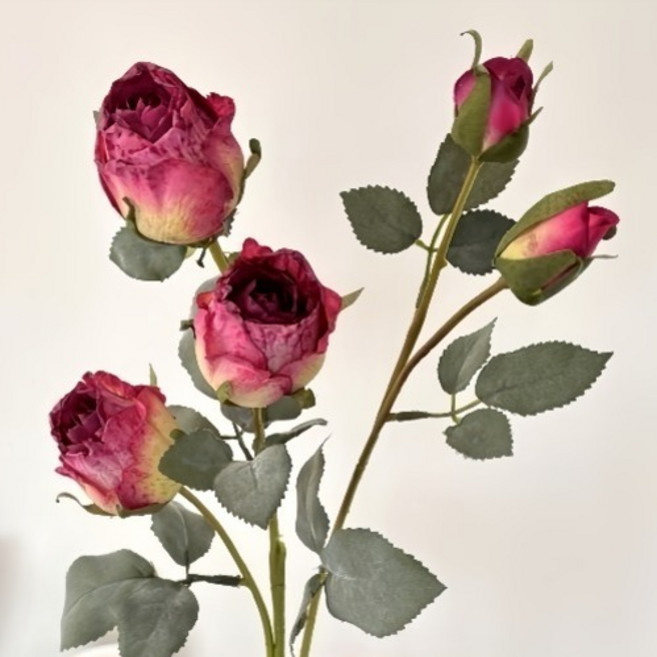 微笑人造花束, 蘿拉玫瑰 玫瑰粉, 1個