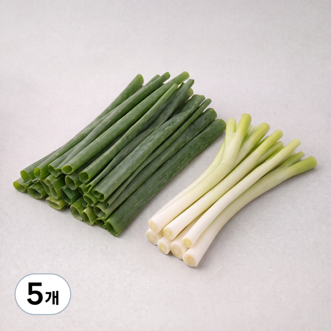 국내산 절단대파, 1kg, 5개