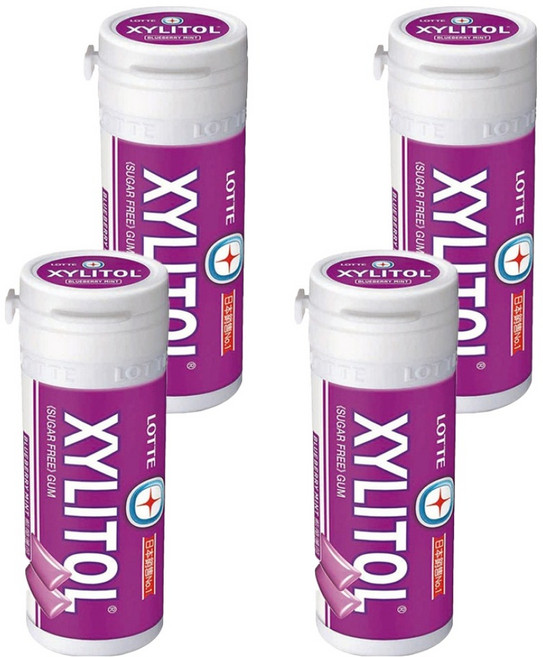 XYLITOL 藍莓薄荷無糖口香糖 口腔清新 健康維持, 26.1g, 4罐