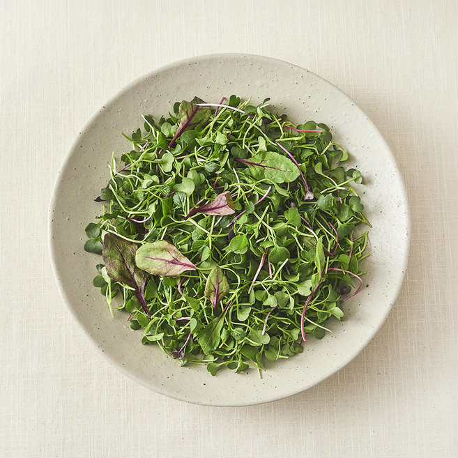 친환경 어린잎 채소, 500g, 1개