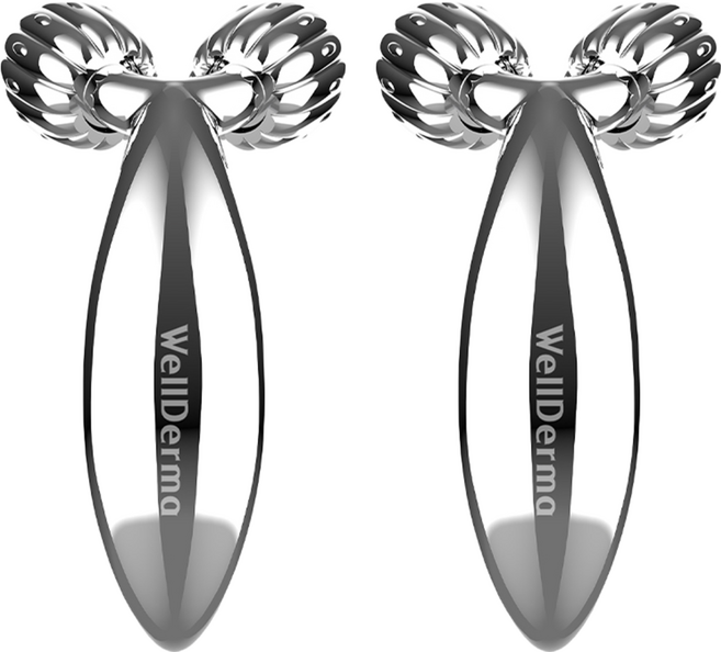 웰더마 페이스 리프팅 컴팩트 미니 롤러, 2개, 실버