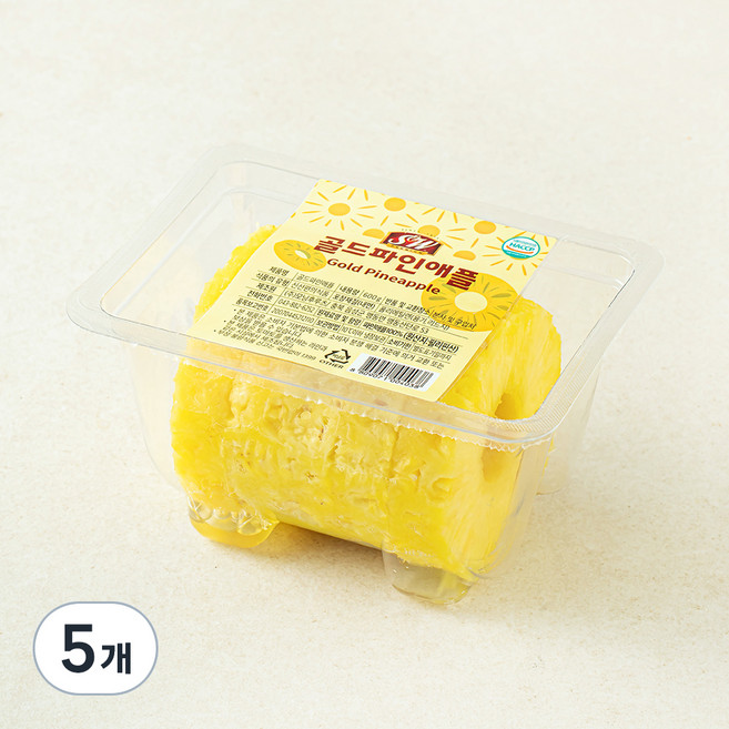 에스앤더블유 골드파인애플 원통형, 600g, 5개