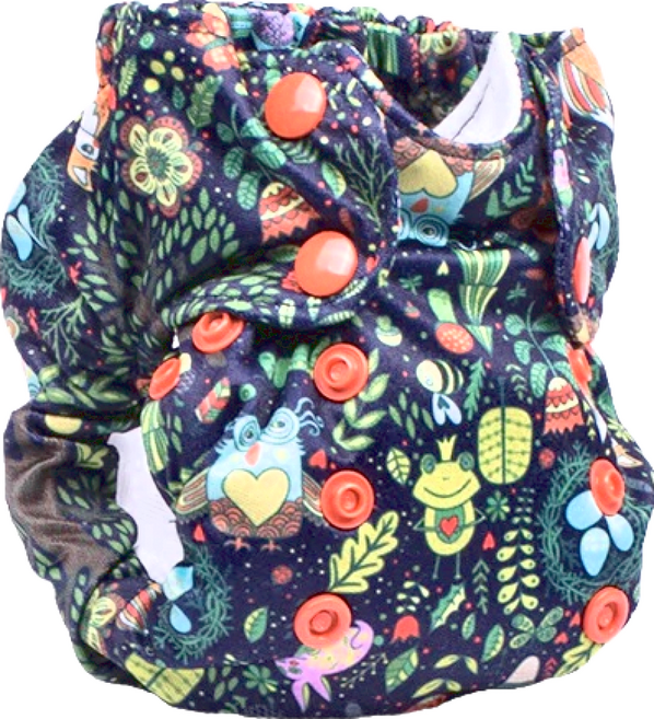 Smart Bottoms Diaper 2.0 布尿布 新生兒款 2.7-7.3 kg 美國產, Enchanted, 1件