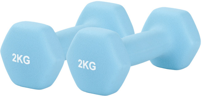 리브스포 논슬립 아령, 2kg, 2개