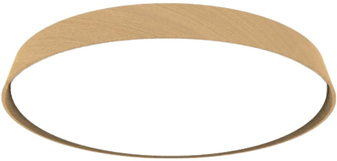 DANCELIGHT 舞光 LED 50W 風姿雅緻遙控吸頂燈 D-CER50DM-LW, 梧桐木紋色