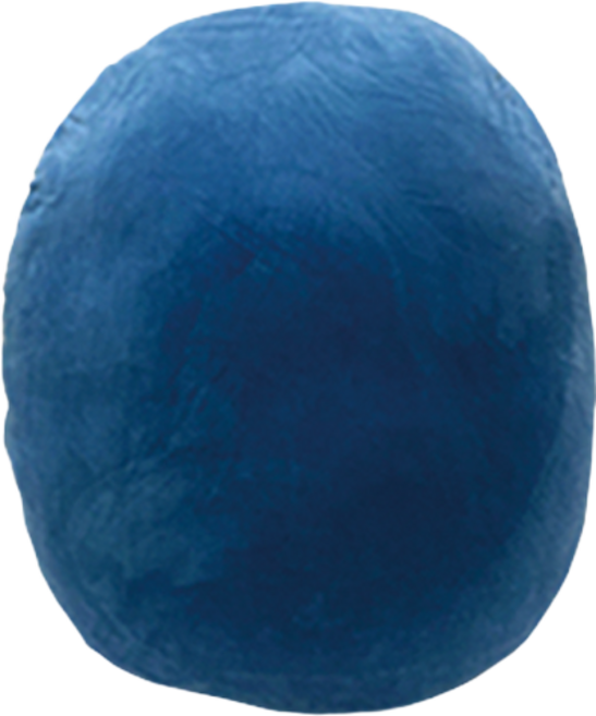 일상나눔 찹쌀 모찌 필로우, 블루