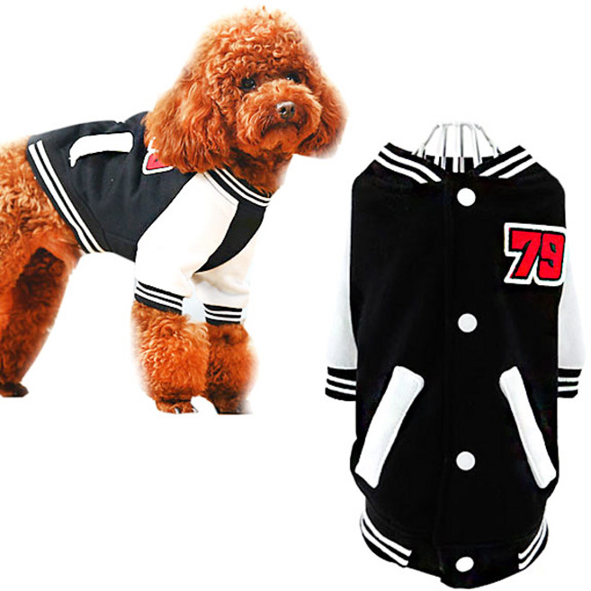 제제펫 애견 야구점퍼, 블랙, 1개