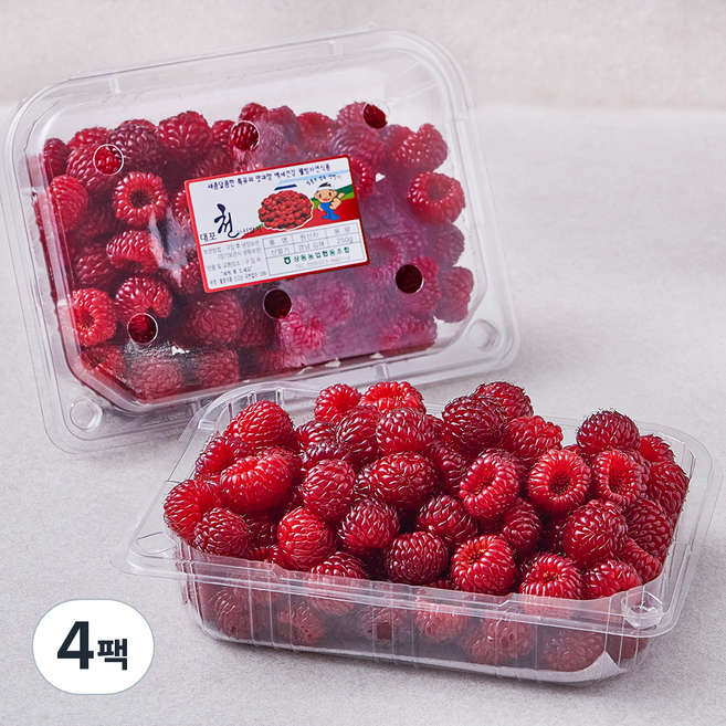 상동농업협동조합 대포천 김해 산딸기, 250g, 4팩