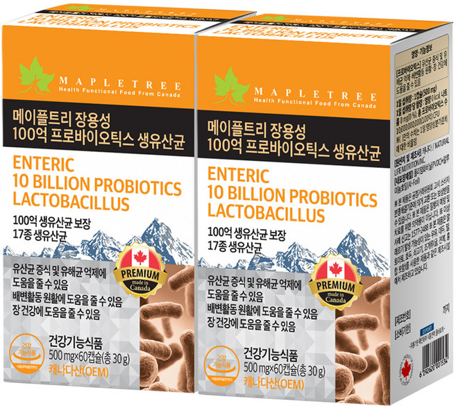 메이플트리 장용성 100억 프로바이오틱스 생유산균, 2개, 60정
